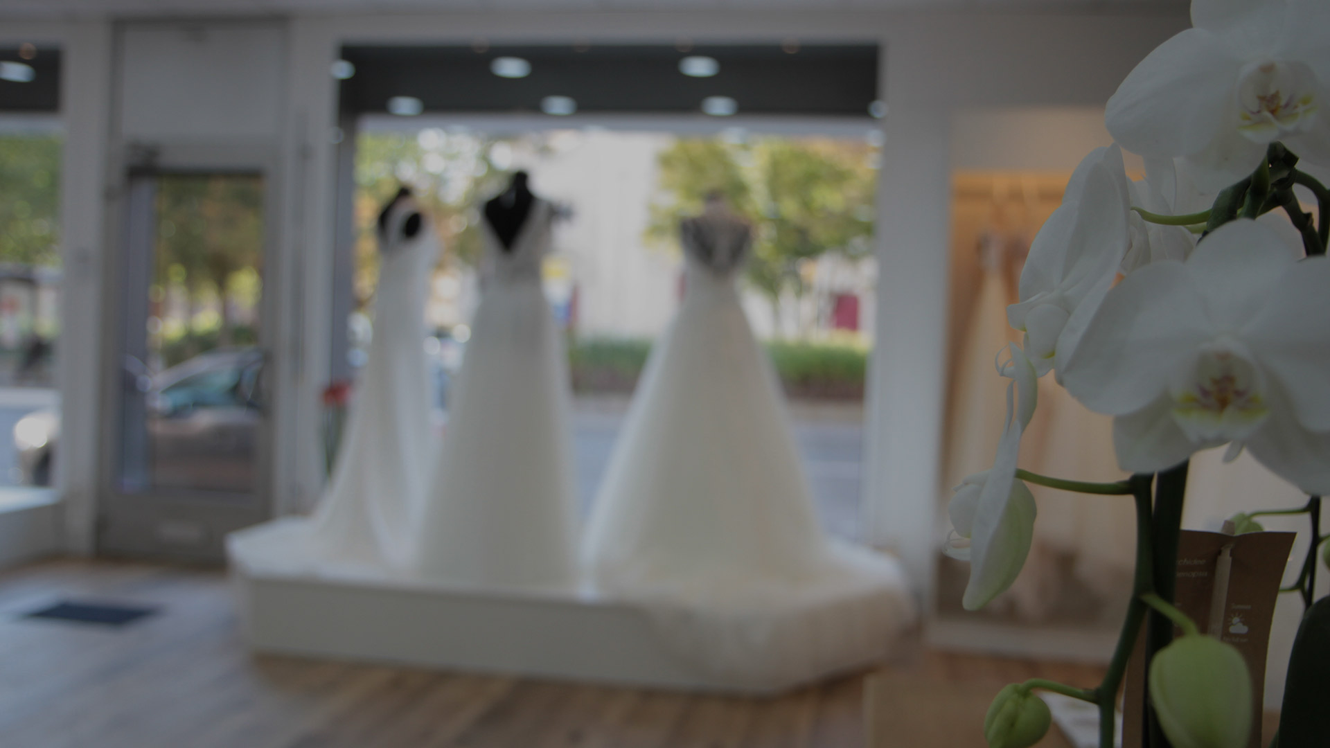 Boutique de robes de mariée Reimse